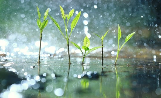 WZBOLUsnKdsjR8nni9O8ey9jzSs