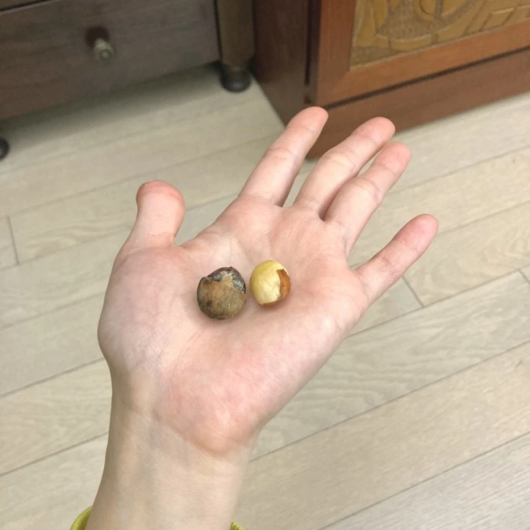 IMG_8186.JPG?type=w773