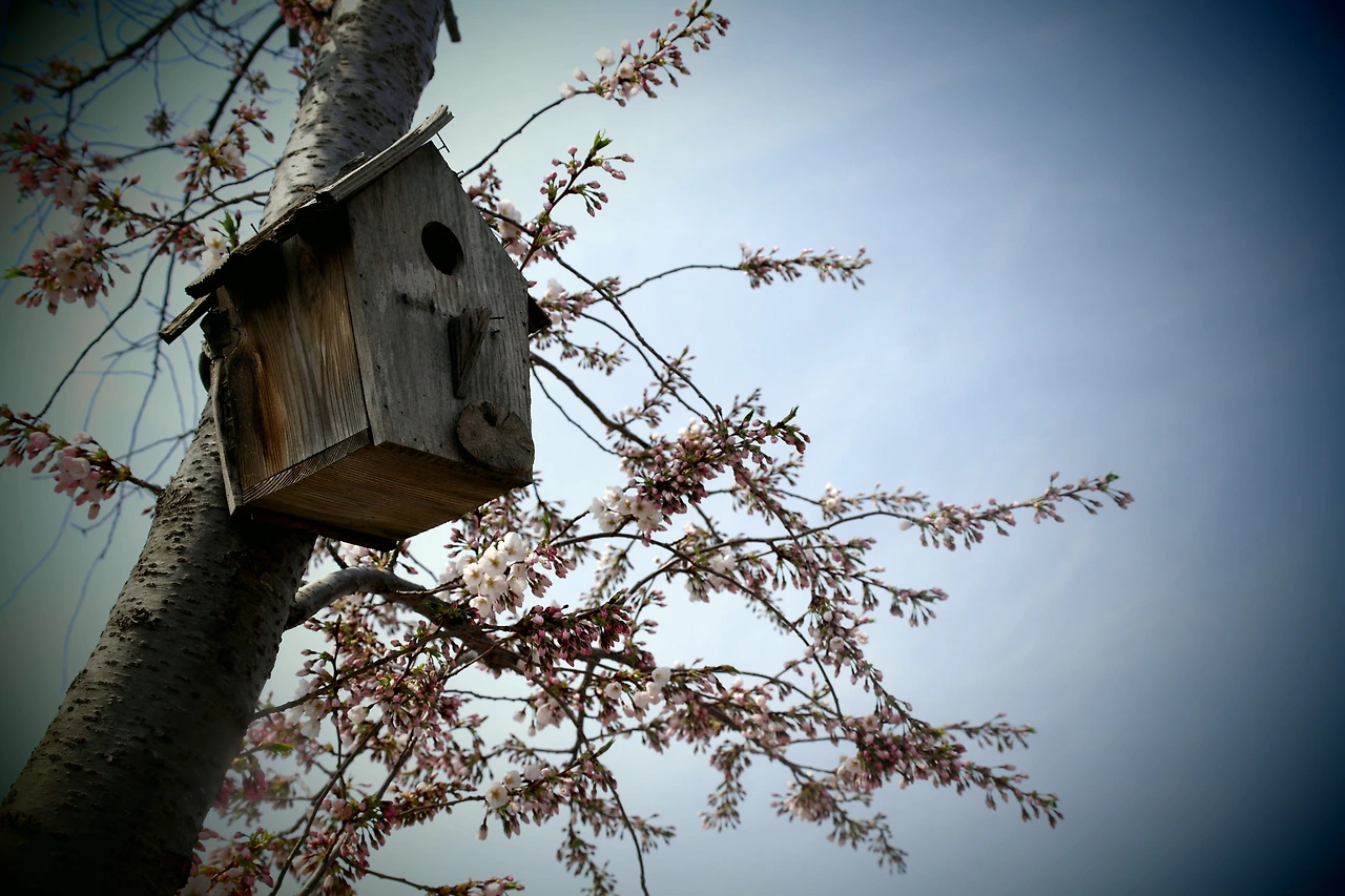 사진12-그럼에도 사랑을 기다린다..JPG