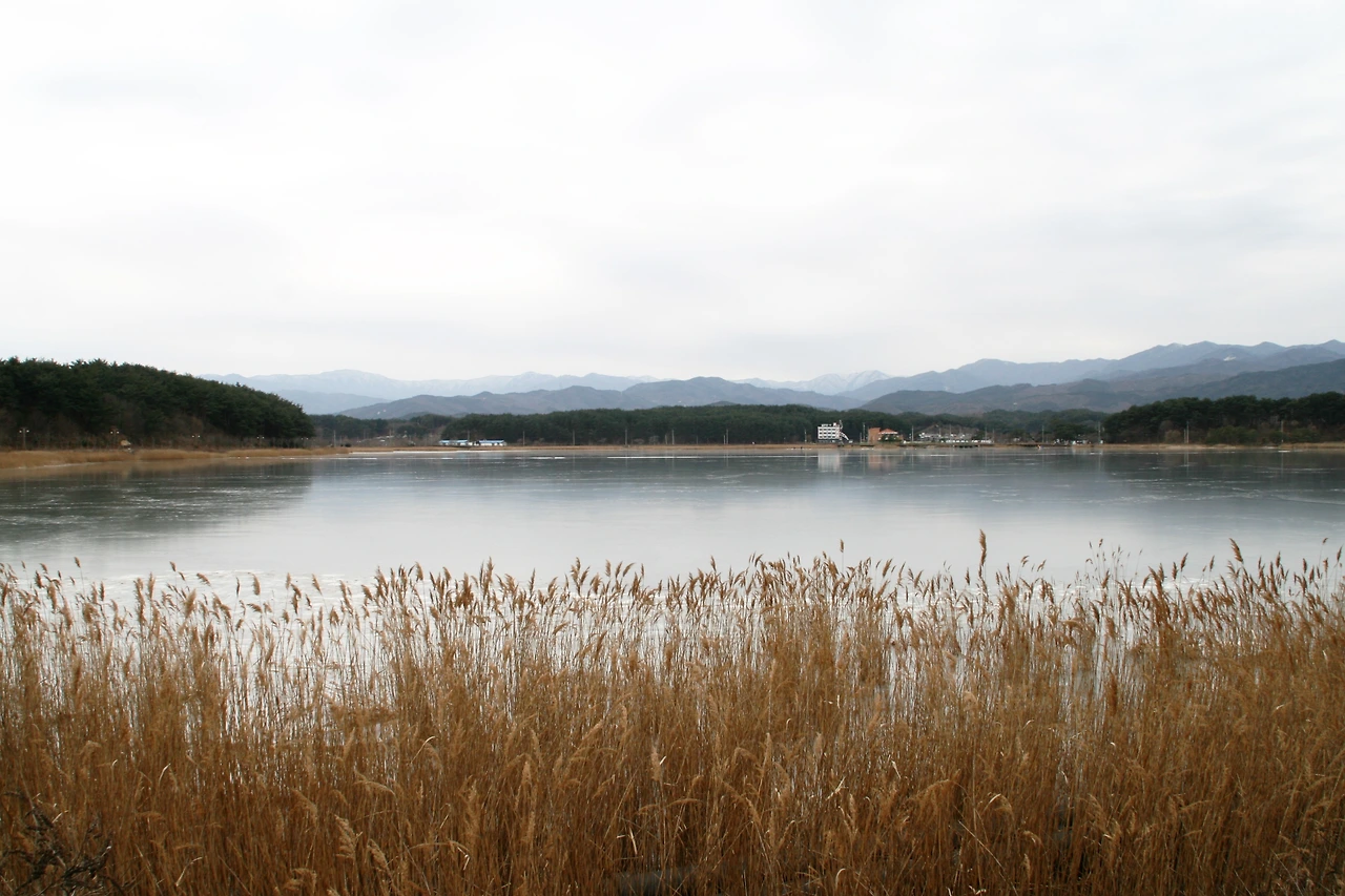 썸네일 후보.JPG