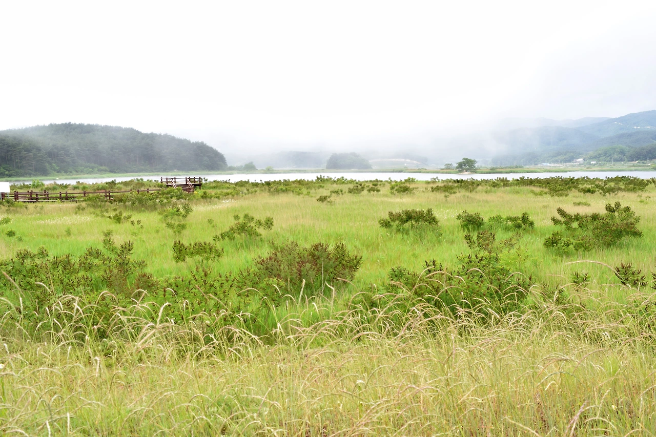 추가컷-매호 풍경.JPG