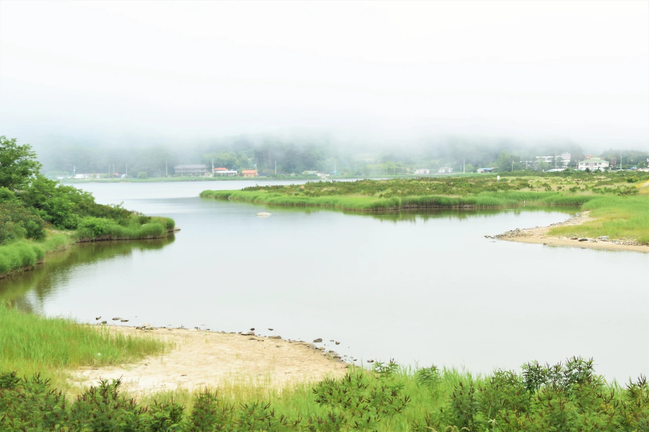 사진11-고종환 제공- 호수 주변의 포매리 지역 일대는 백로와 왜가리의 번식지다. 1970년 천연기념물 229호로 지정돼 있다..JPG