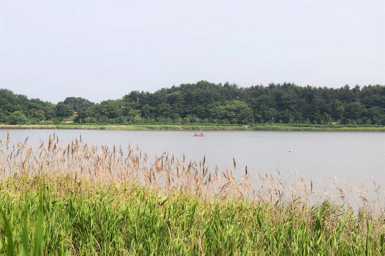 사진2-고무보트를 타고 풍류를 즐기는 사람들.-고종환 제공..JPG