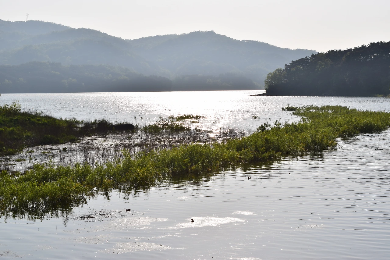 사진11-고종환 제공-호수를 바라보며 상처받은 마음을 다독여본다..JPG