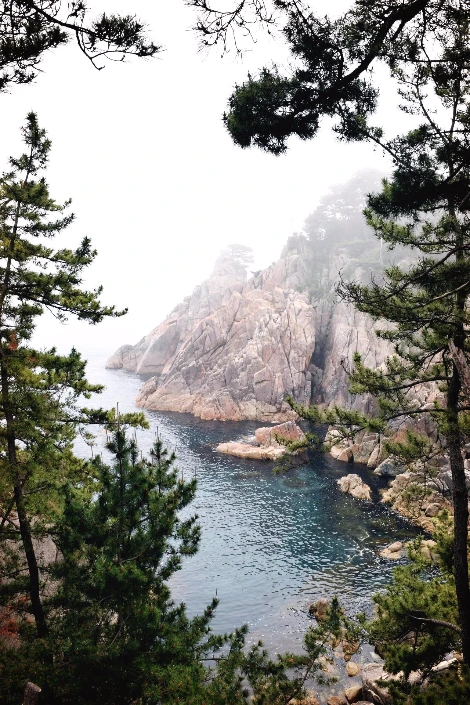 사진5-고종환 제공-울창한 송림, 기암괴석, 바다는 감탄사가 절로 나오는 하모니다..JPG