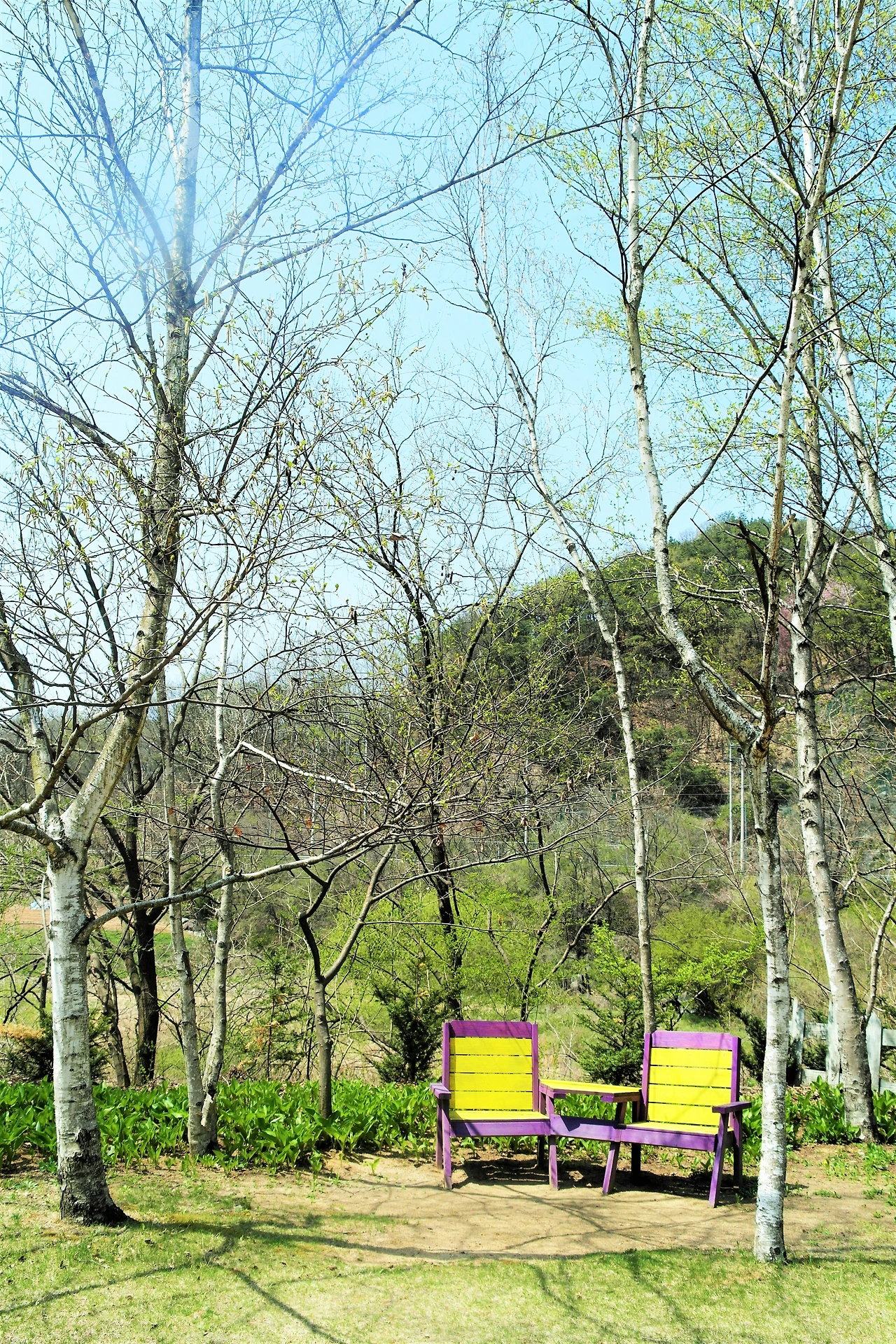 사진14-세로컷-곳곳에 자리한 벤치들이 지친 마음을 어루만져 주는 듯하다..JPG