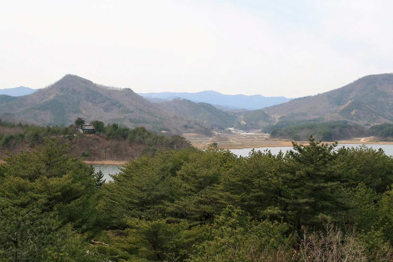 사진7-고종환 제공-철새관망타워에서 내려다본 송지호. 이름대로 울창한 송림을 자랑한다..JPG