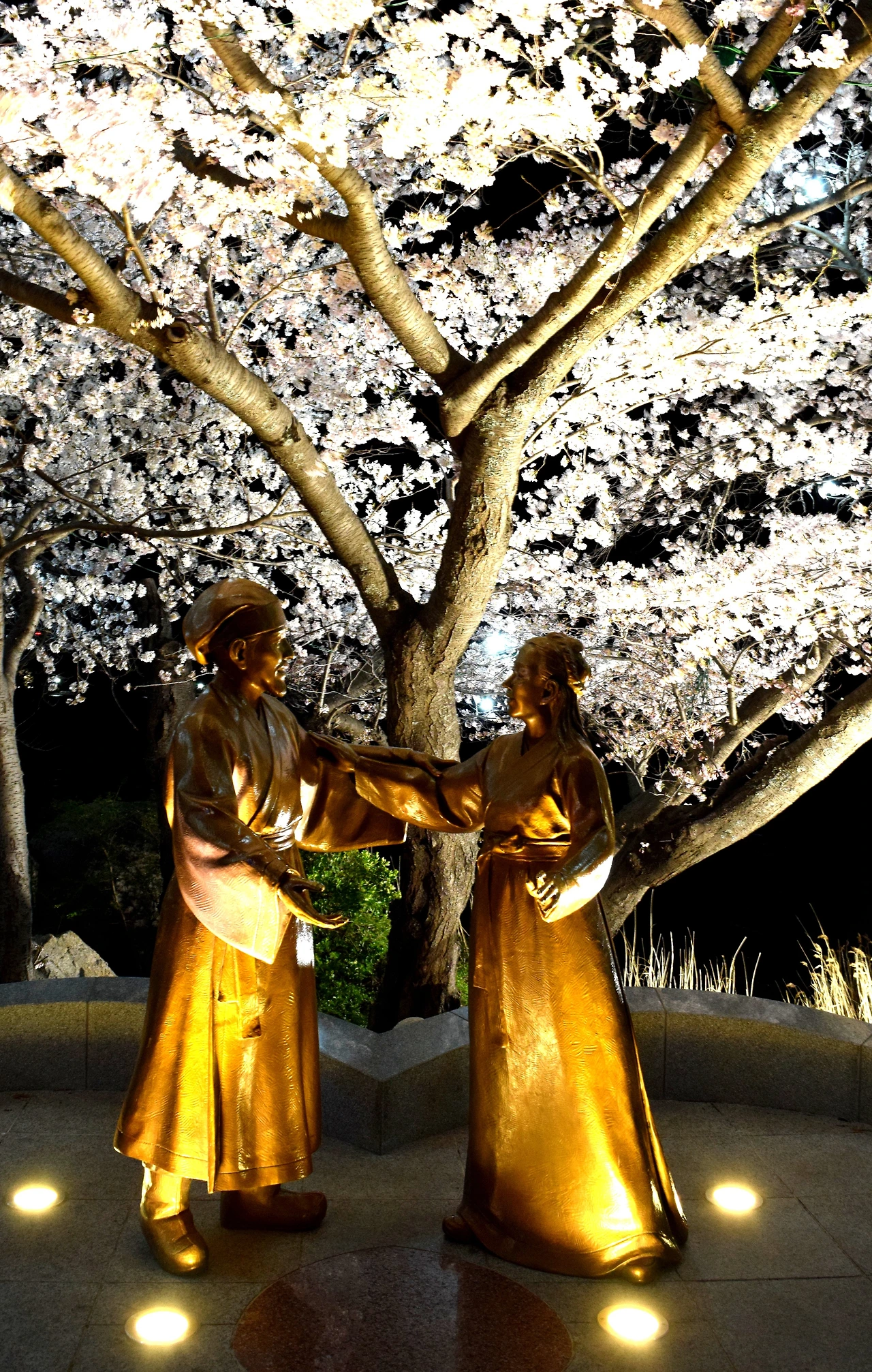 사진1-고종환 제공-경포호가 가장 아름다울 때, 사랑하기 좋은 봄.JPG