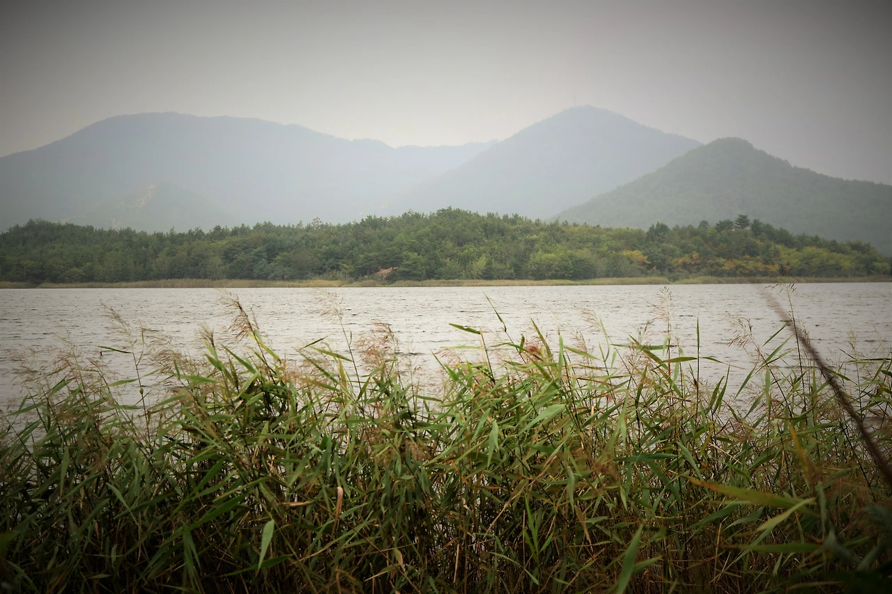 사진7-지금처럼 체계적인 관리와 감독이 오래오래 이어지길 소망한다.-고종환 제공.JPG