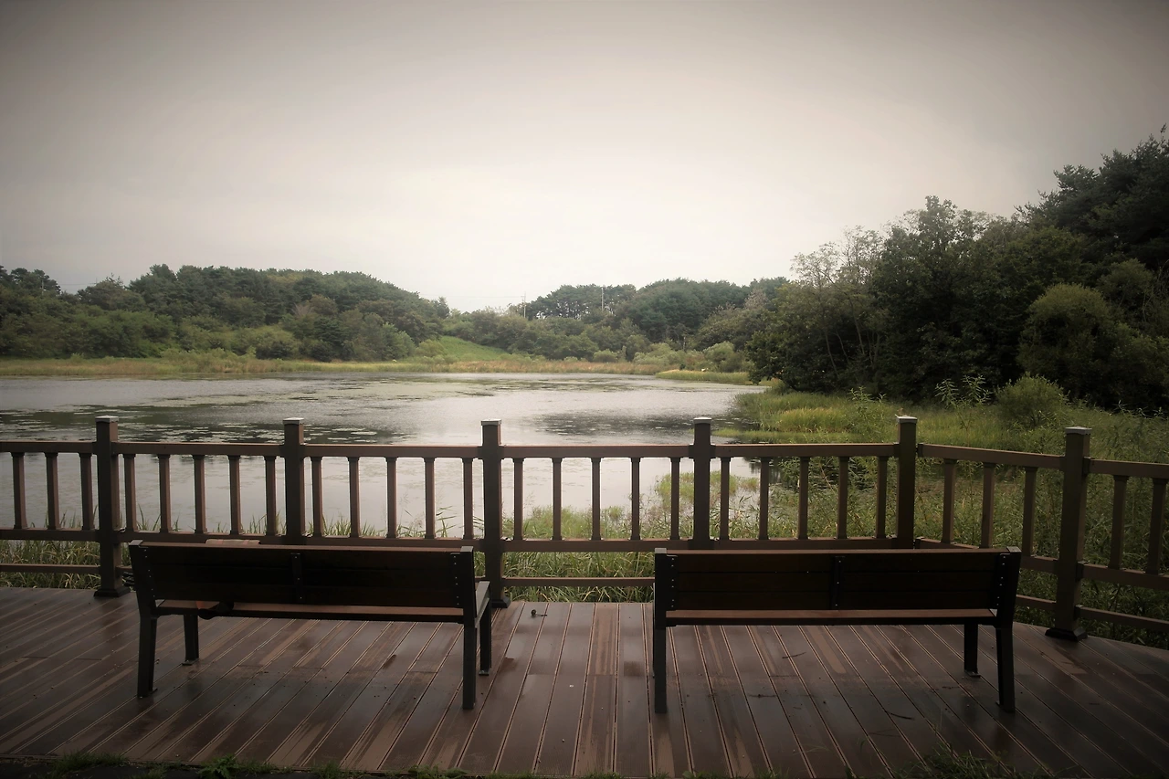 사진1-사색하기 좋은 계절, 가을이다. 올해 초 조성된 봉포호 산책로. -고기은 제공..JPG