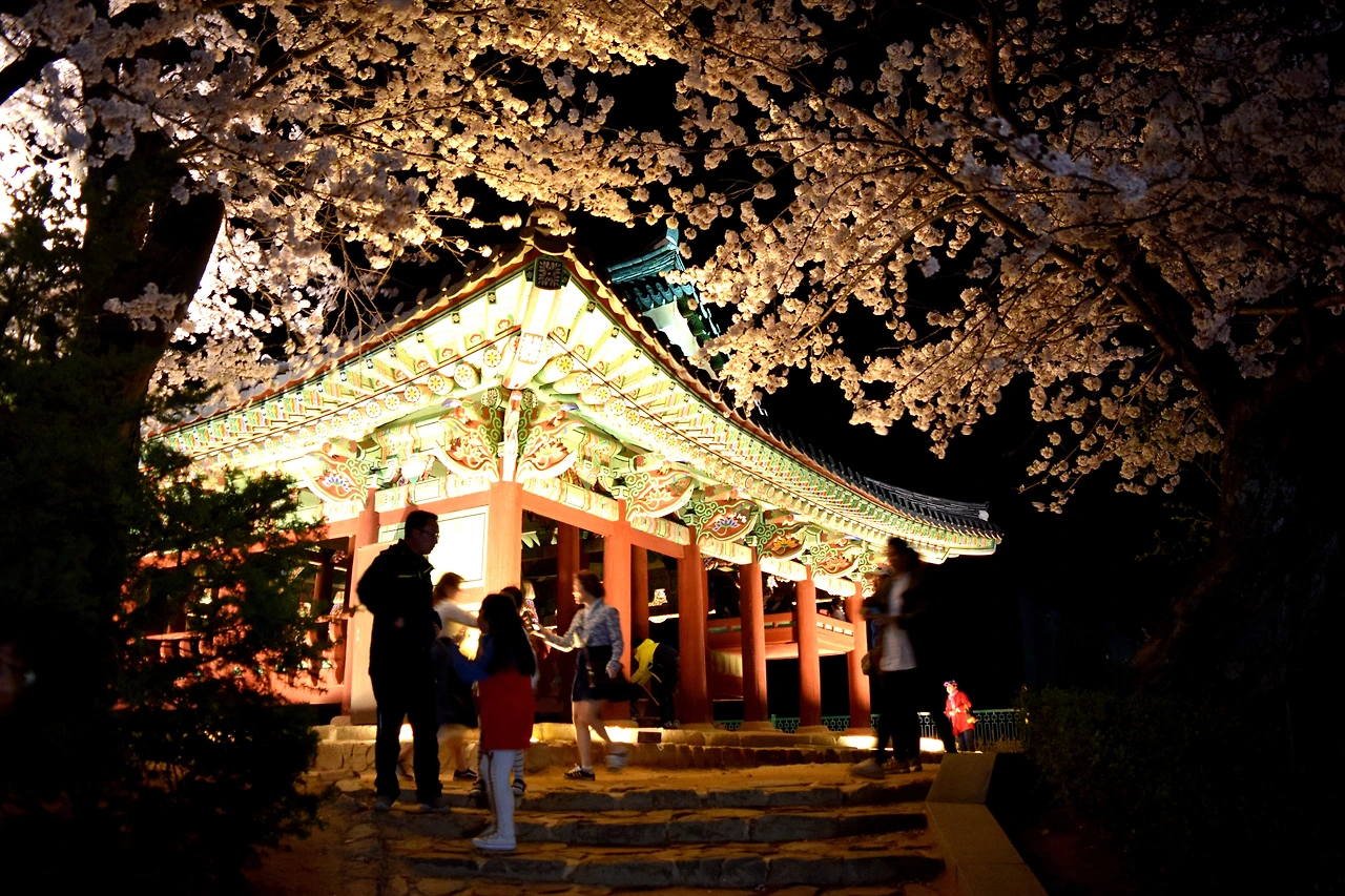 사진13-고종환 제공-관동8경 중 하나인 경포대. 야경도 근사하다. 경포호를 내려다보며 쉬어가기 좋다..JPG