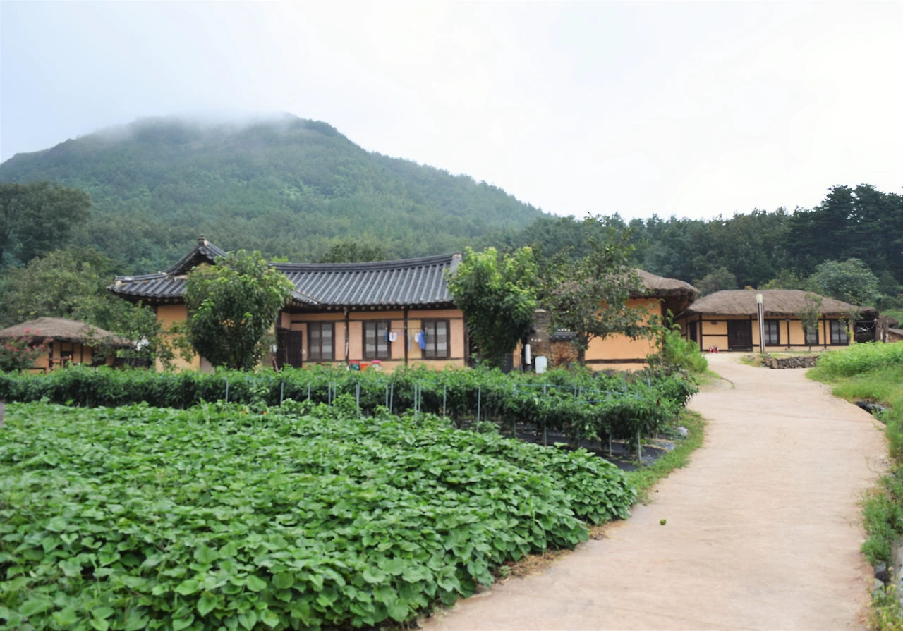 썸네일 후보2.JPG