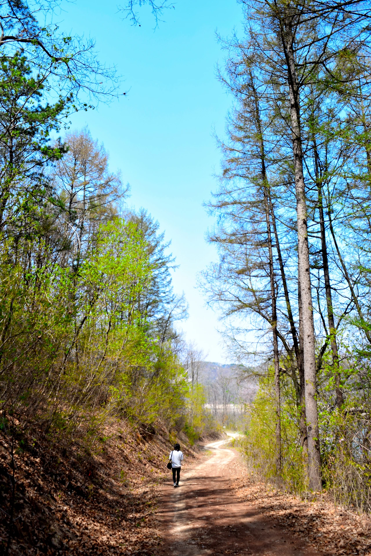 사진6-불편해도 괜찮다고 생각했으면. 자연을 생각하는 마음이 오래오래 지켜지면 좋겠다..JPG