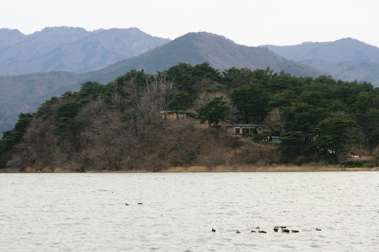 사진12-한번 오면 그 감동을 잊을 수 없어 다시 찾게 되는 화진포. 언덕엔 이승만 별장이 자리하고 있다..JPG
