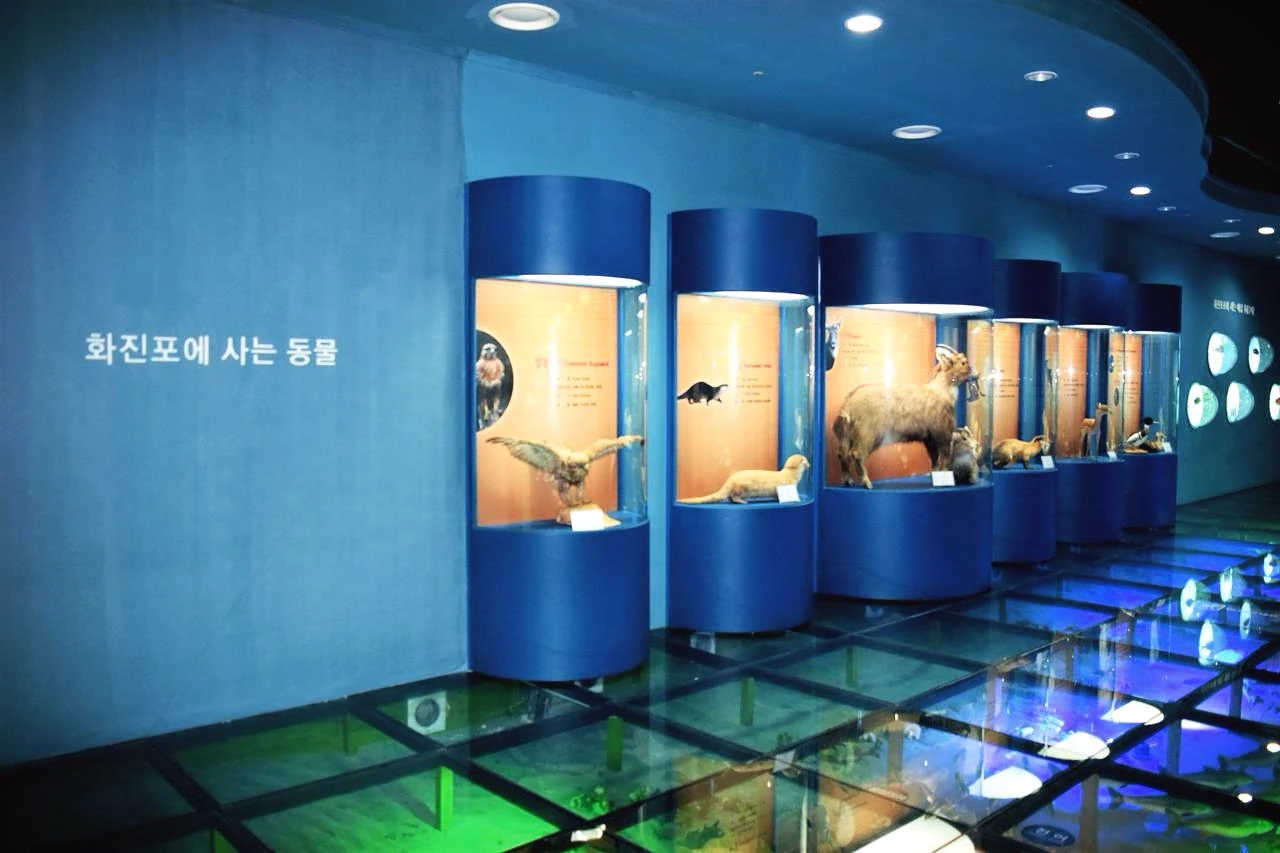 사진9-1층 지역생태관을 시작으로 기후환경관, 기획전시실, 생태계 체험관, 전망대 등 알차게 갖춰져 있다. -고종환 제공.JPG