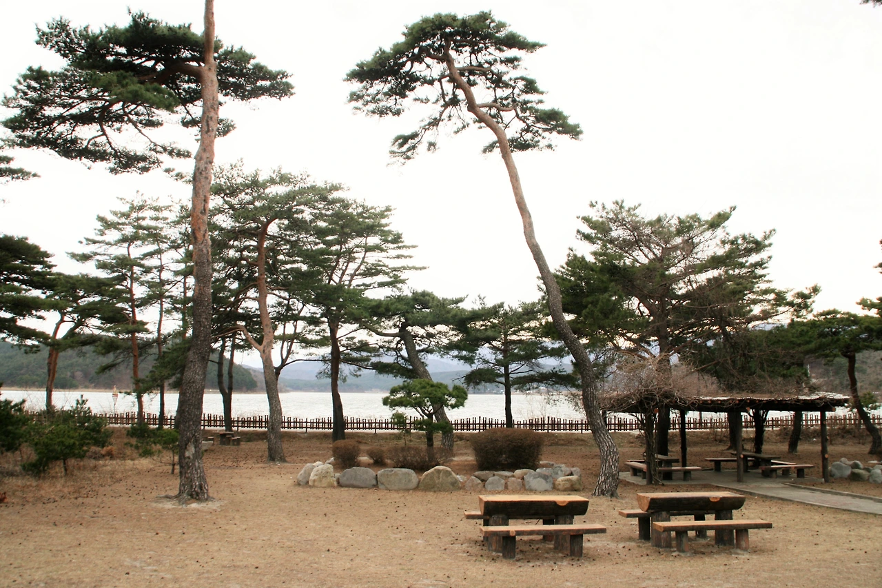 사진15-고종환 제공-노송숲 사이로 아담하게 자리한 이기붕 별장. 생각을 차분히 가라앉히기 좋은 장소다..JPG