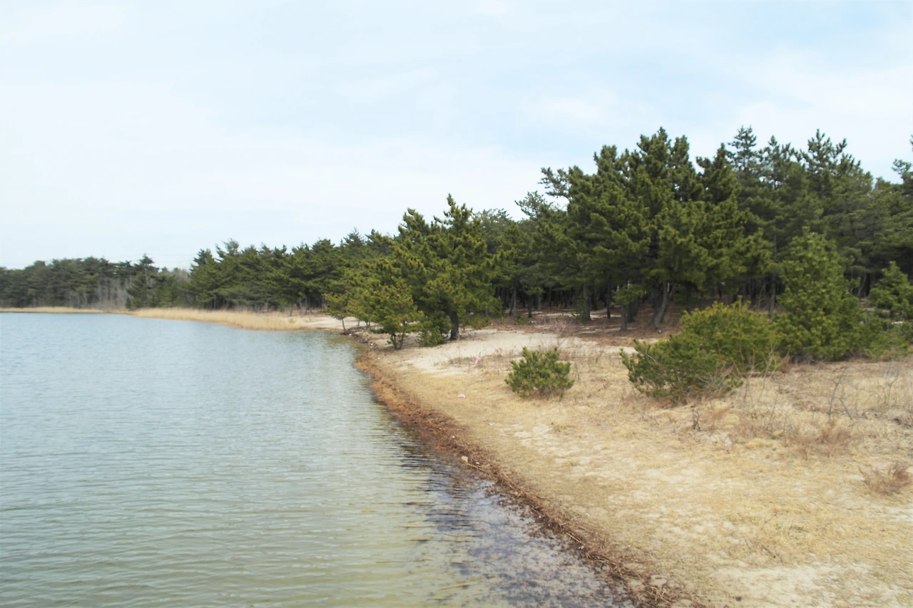 사진11-솔향에 마음이 상쾌해지고, 호수 물결에 마음이 정갈해지는 시간.JPG