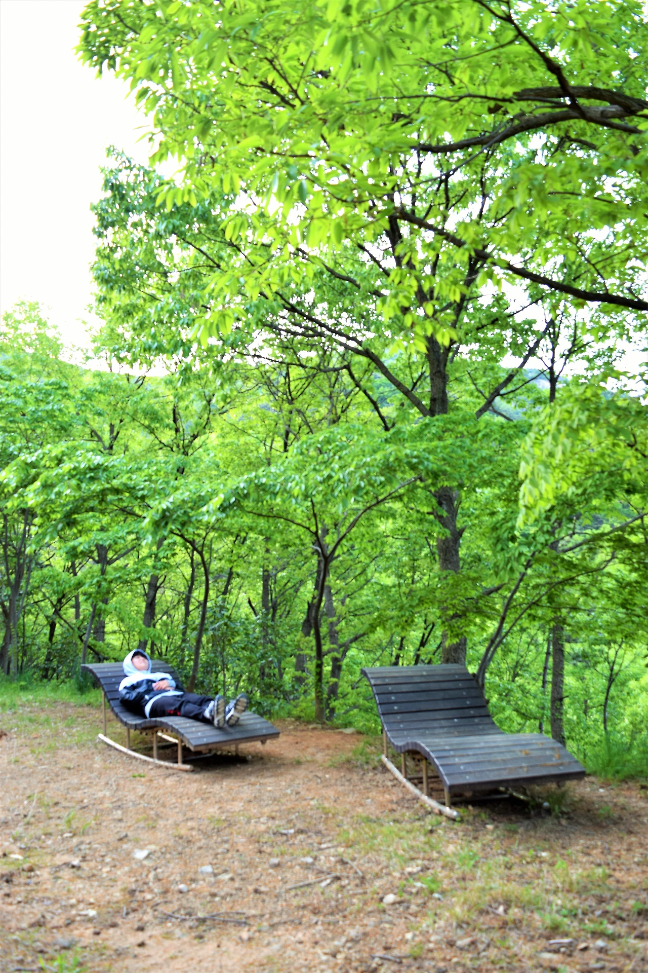 사진4-고종환 제공-산림욕 베드에 누워 자연을 그대로 느껴본다..JPG