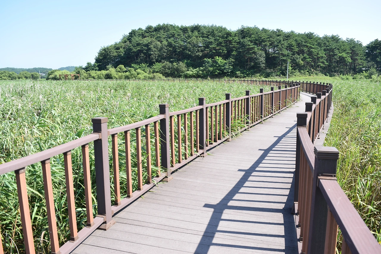 사진11-쌍호와 유적 주변을 둘러볼 수 있는 탐방로.-고종환 제공.JPG
