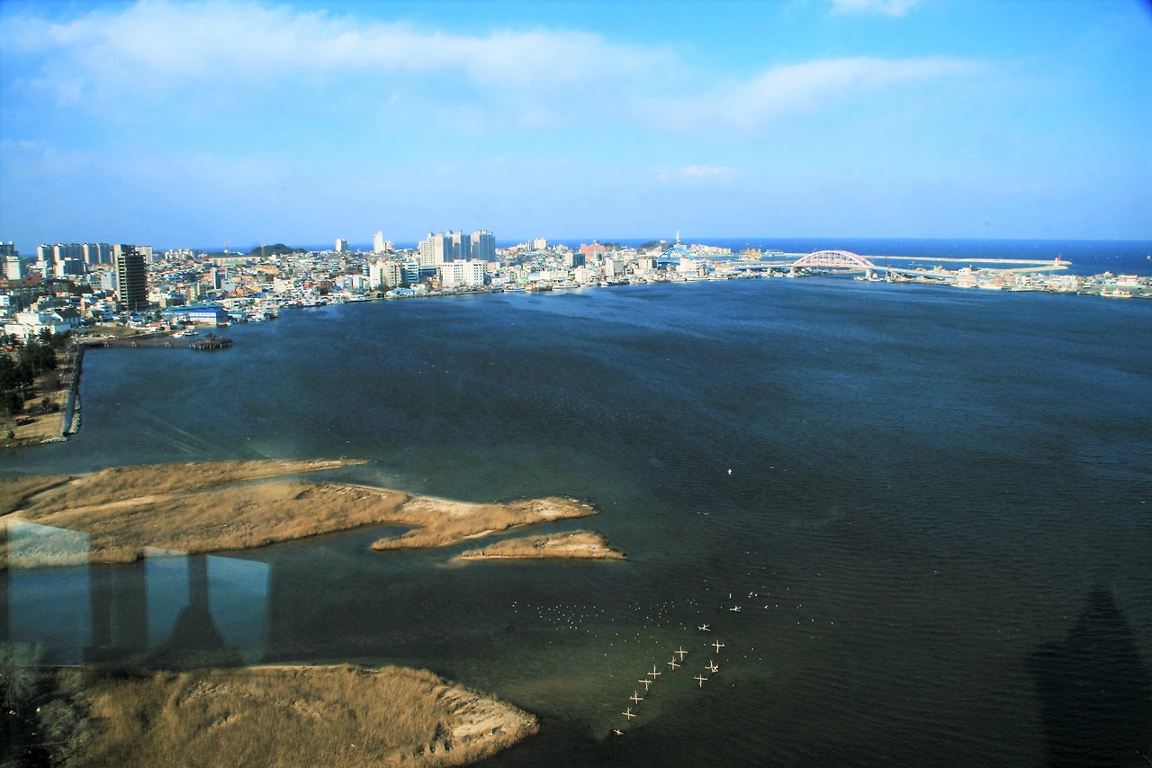 사진3-높이 약 74m의 엑스포타워. 이곳에 오르면 청초호가 한눈에 들어온다. 지난 2월에 찍은 사진.-고종환 제공..JPG