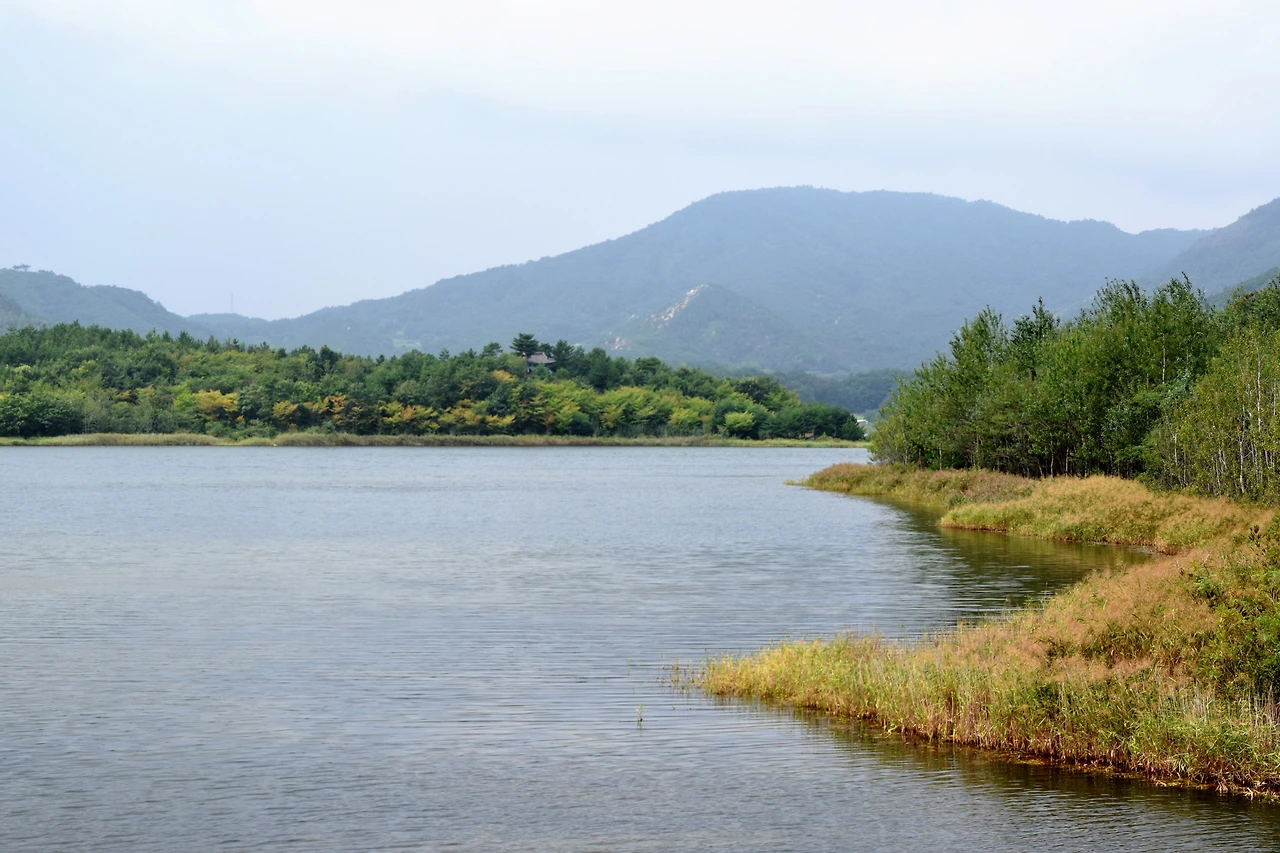 사진1-송지호의 온화한 풍경은 여전하다. - 고종환 제공.JPG