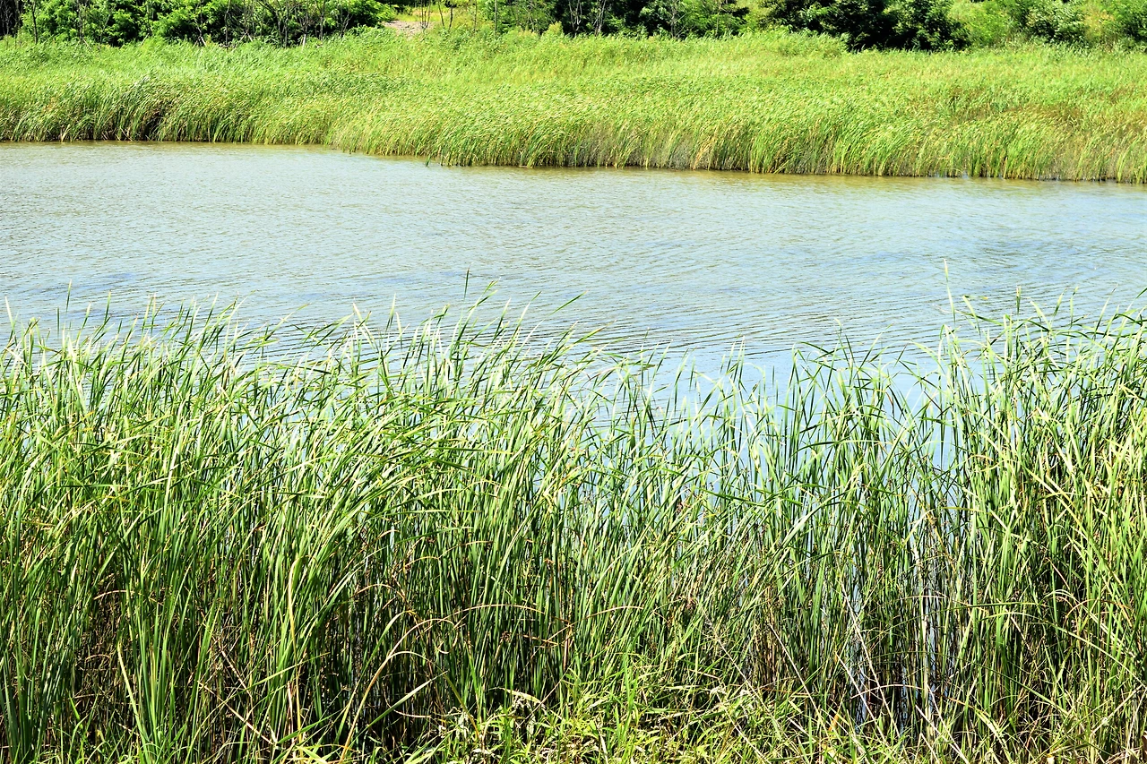 추가컷-순포호 스케치2.JPG