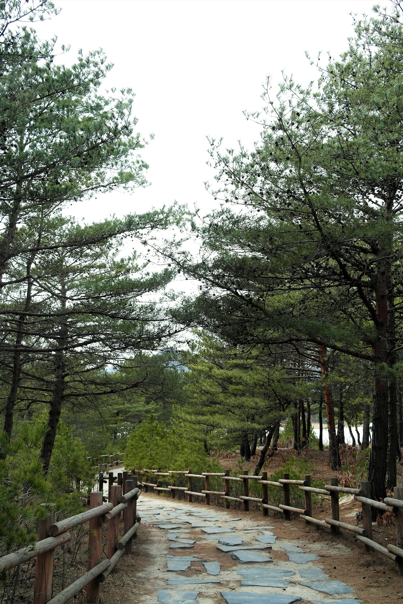 사진12-길을 잃고 헤맨 시간은 곧 나를 알아가는 시간이었다..JPG