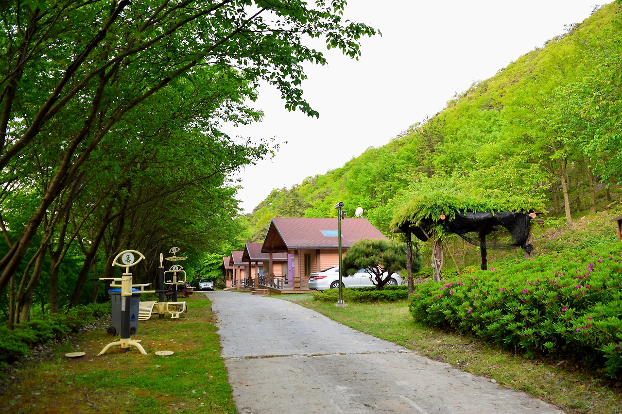 사진3-고종환 제공-조용한 쉼의 공간.황토와 통나무로 지은 숲속의 집 B동..JPG