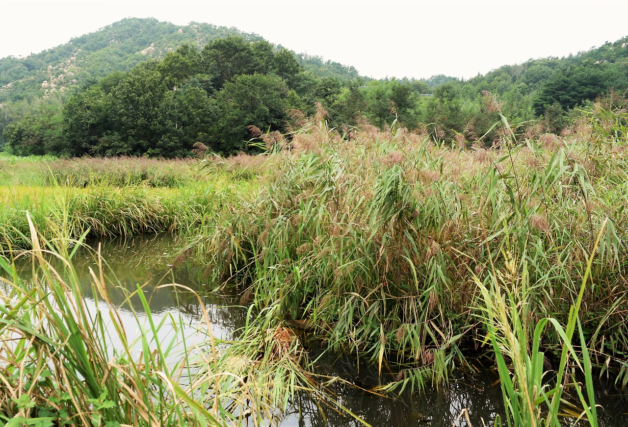 사진2-고성군 죽왕면 공현진리에 있는 선유담.유역면적은 0.71㎢다.-고종환 제공..JPG