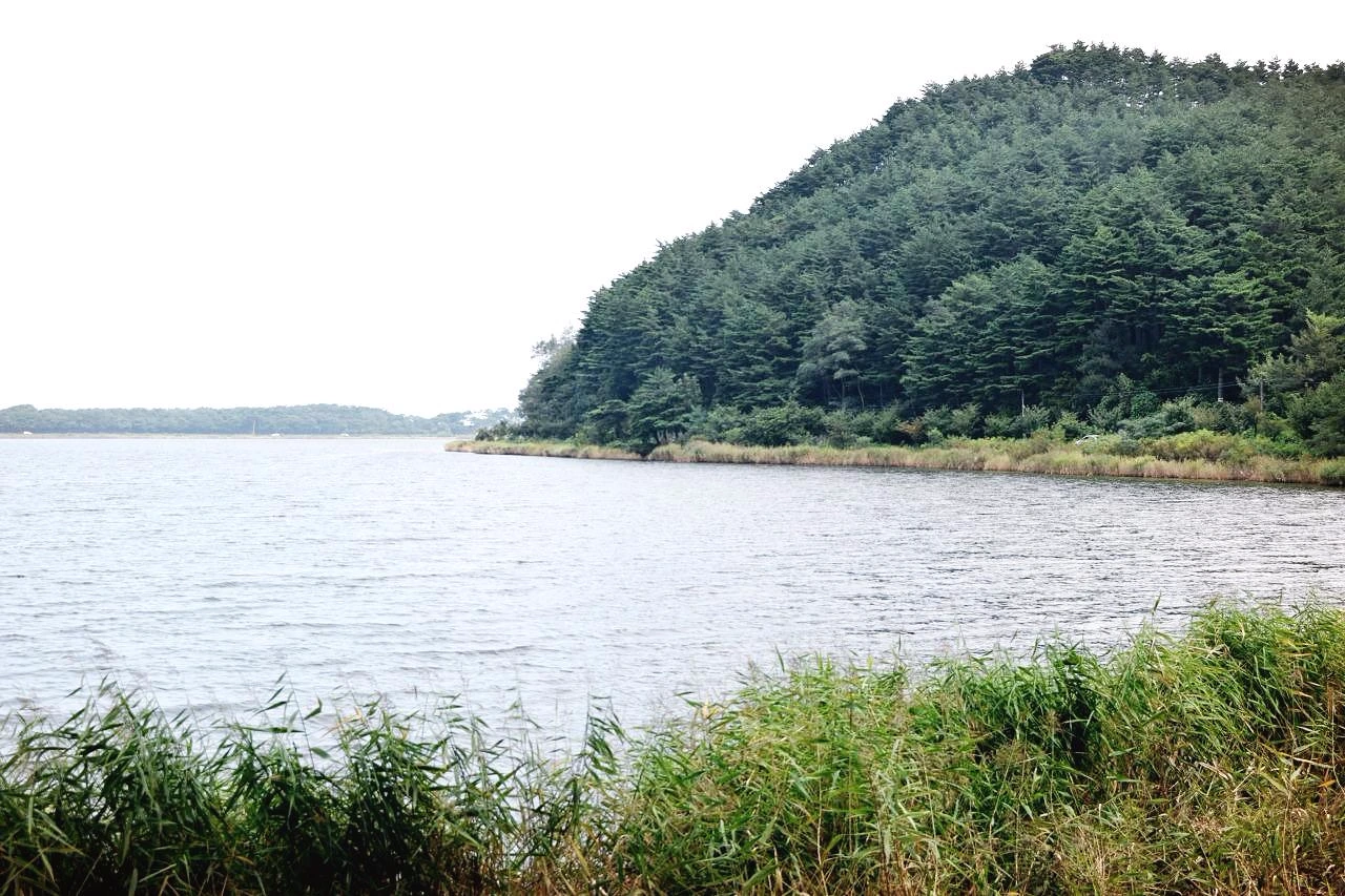 사진7-화진포호는 생태계 보전가치가 매운 높은 석호로 중점관리석호다.-고종환 제공.JPG