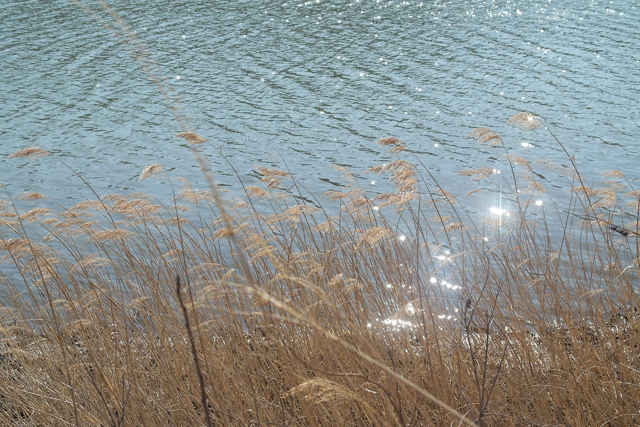 사진1-누군가를 챙기느라 정작 나를 챙기지 못한 당신에게 거는 뷰레이크 타임.-고기은 제공..JPG