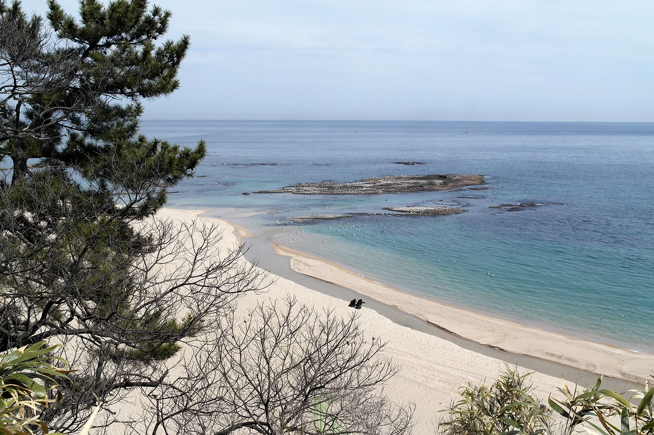 사진3-청간정에서 내려다 보이는 바다에 마음이 사로잡힌다..JPG
