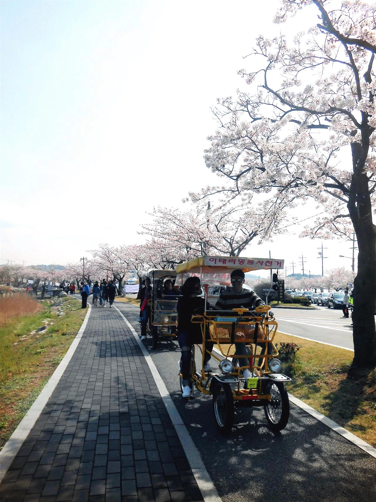 사진3-낭만 데이트 장소인 경포호. 두 손 꼭 잡고 걸어도 좋고, 자전거를 타고 함께 아름다운 풍경을 담기도 좋다..JPG