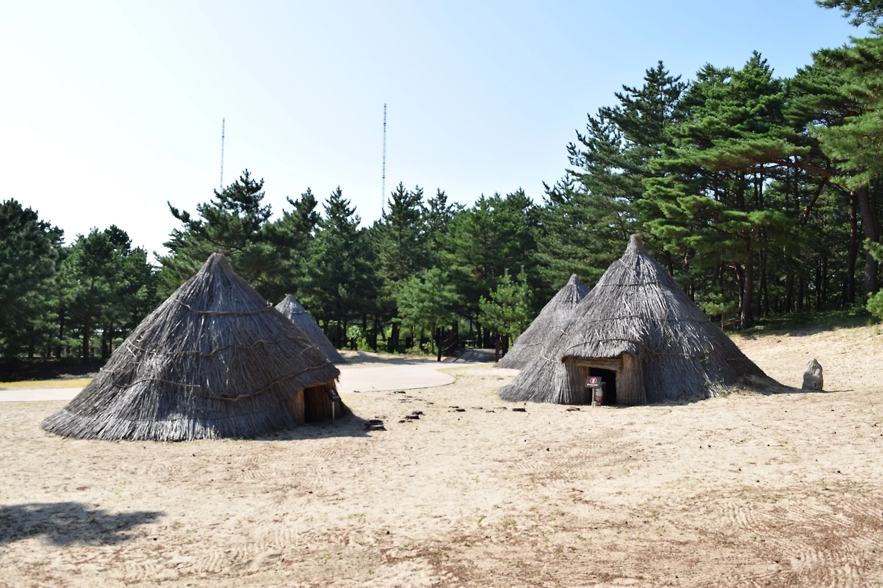 사진3-사적 제394호로 지정된 오산리 유적. 야외에 움집이 재현돼 있다.-고종환 제공.JPG