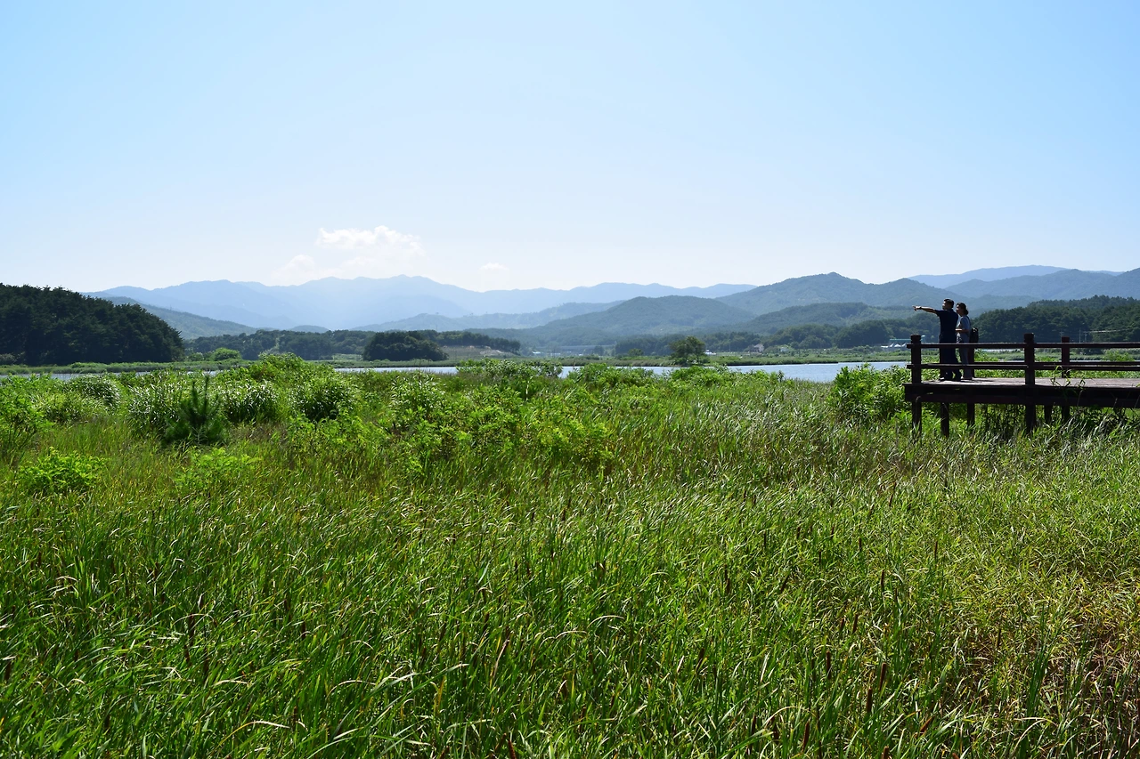 사진13-자연과 인간이 공존하는 생태공간으로 재탄생될 매호.-고종환 제공..JPG