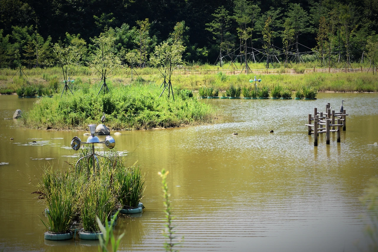 사진6-2011년에 추진되어 2015년 6월 준공된 영랑호 습지 생태공원.-고종환 제공.JPG