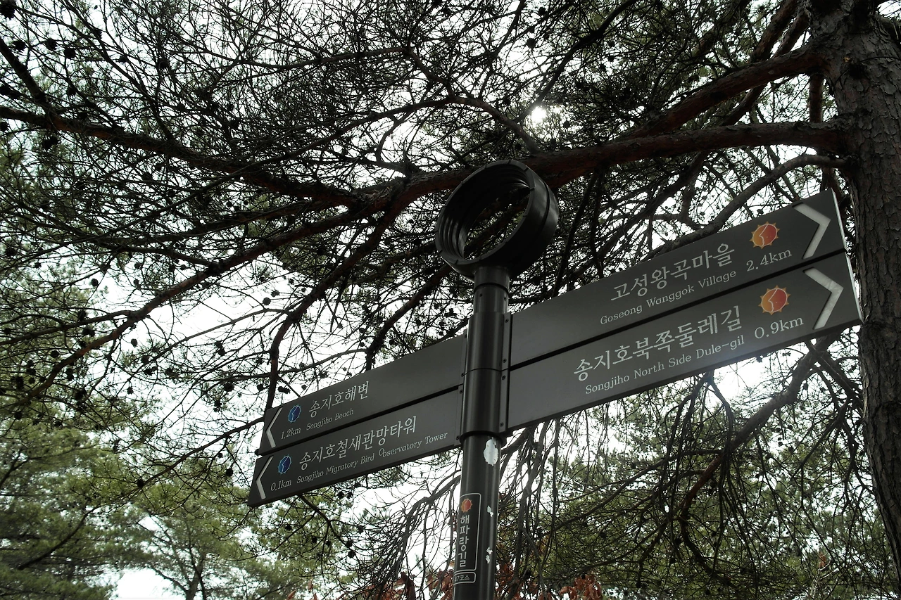 사진1-길을 안내하는 표지판처럼, 초심을 잃지 않고 살아갈 수 있도록 안내하는 표지판이 있었으면 좋겠다..JPG