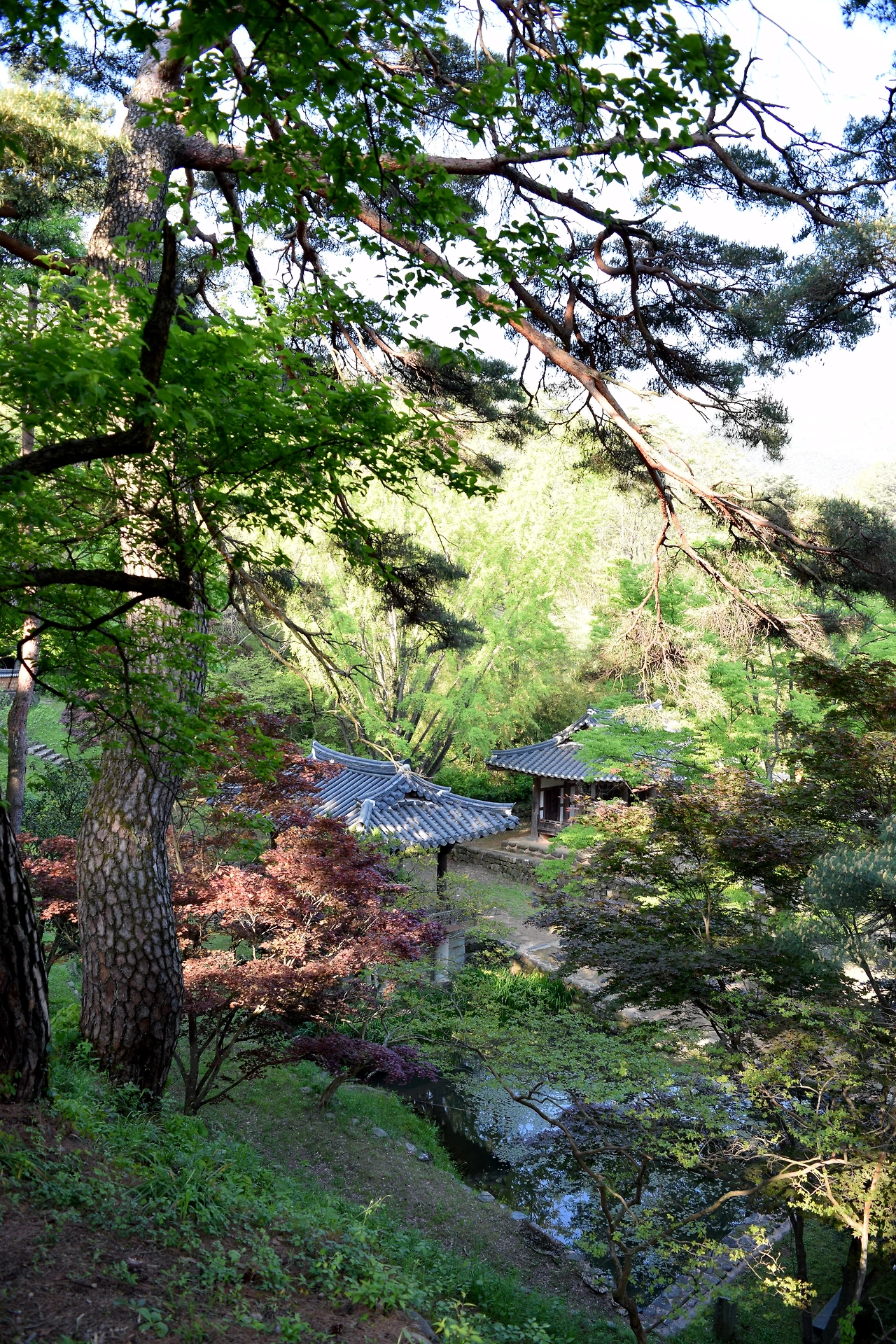 추가컷-고종환 제공-식영정 일원.JPG