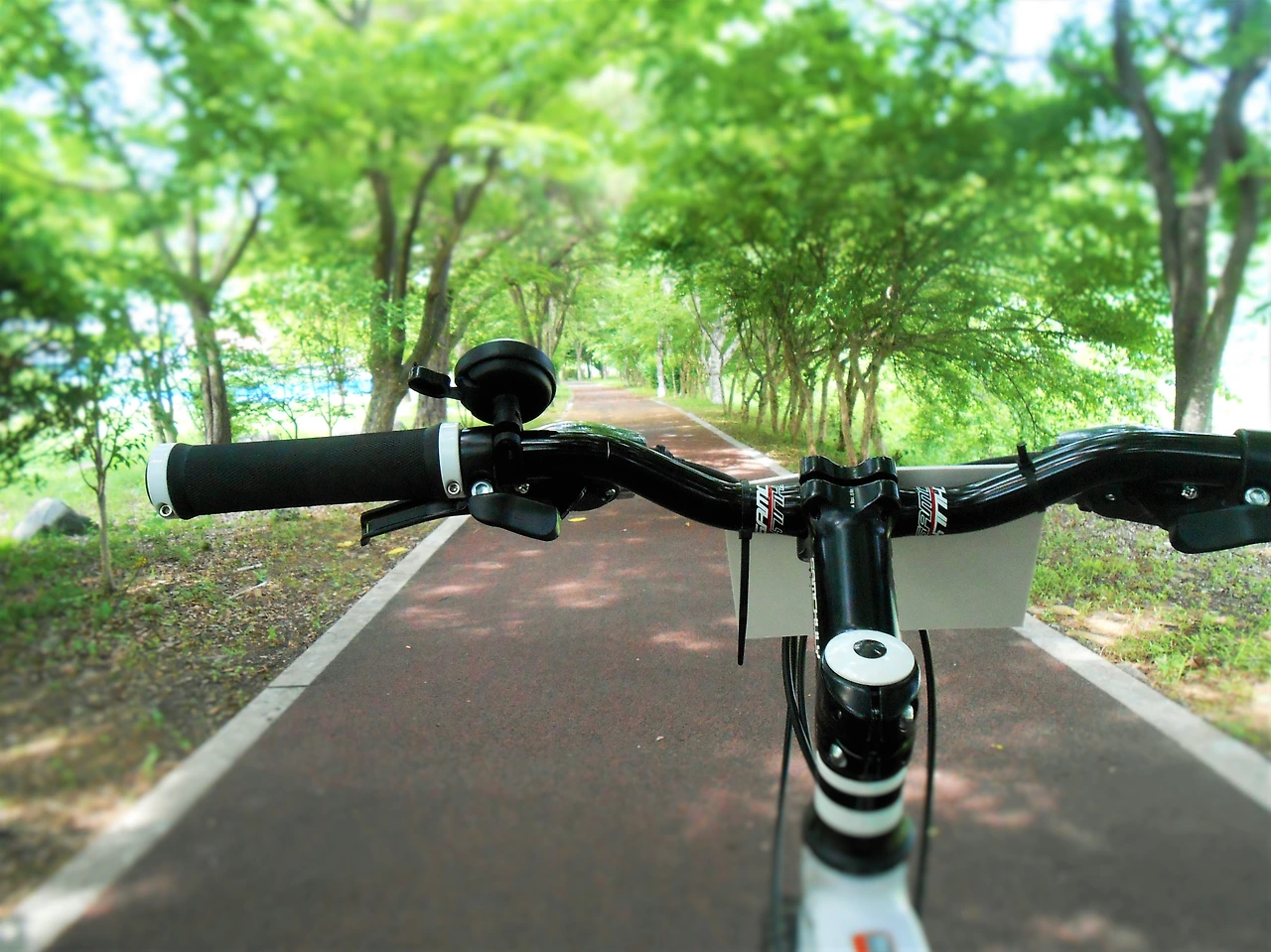 사진1-마음에도 브레이크가 있어서 완급조절을 할 수 있으면 좋겠다..JPG