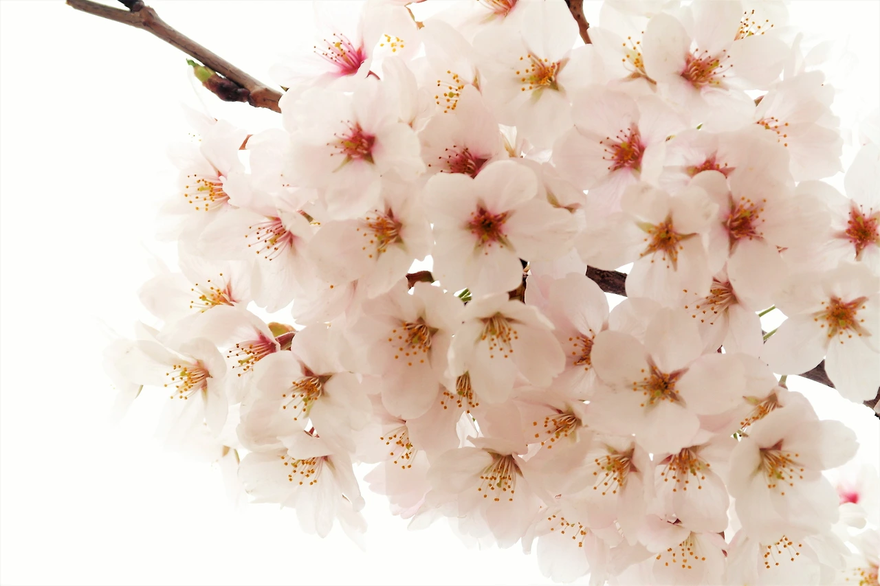 썸네일 후보2.JPG