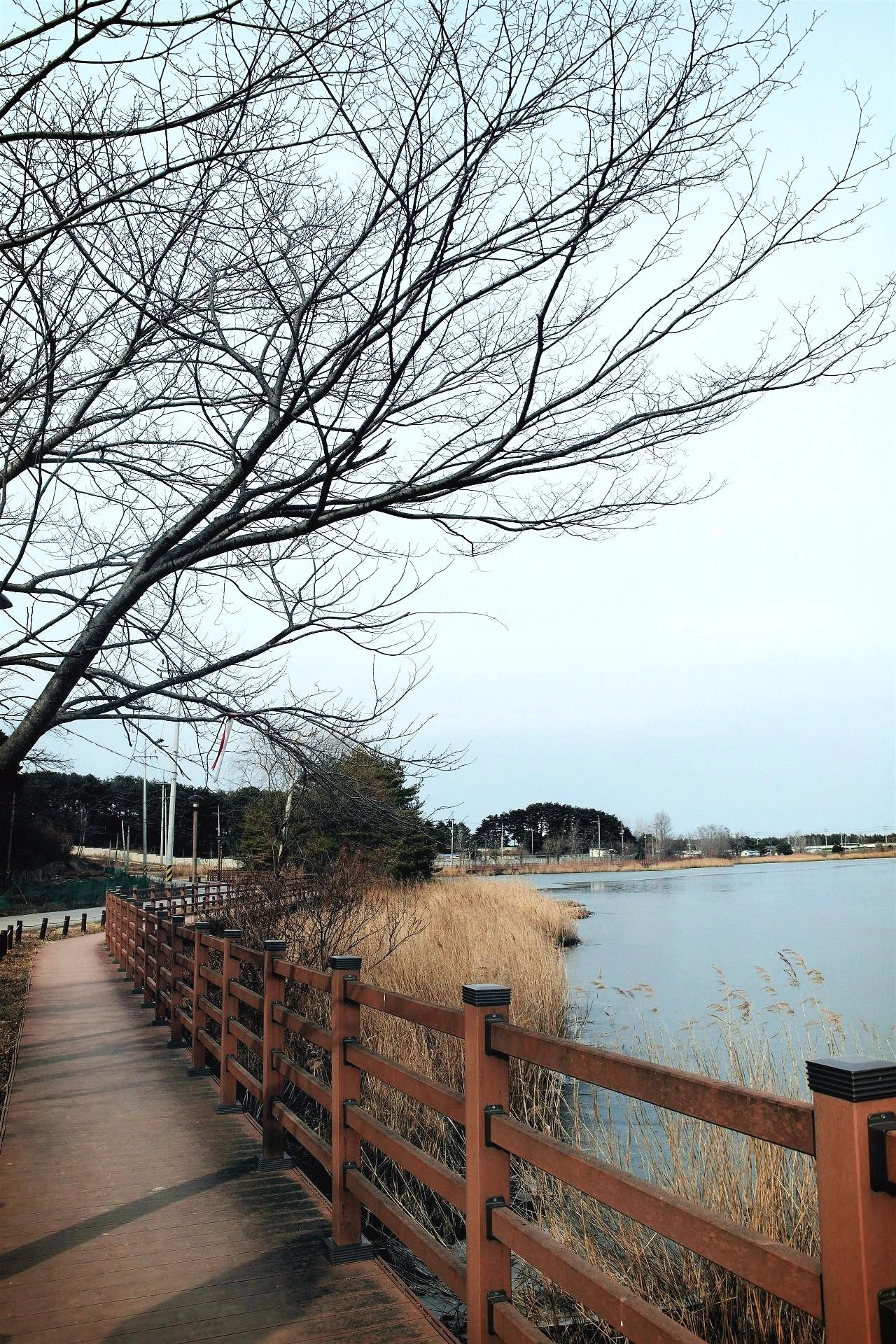 사진5-엄마와 함께 도란도란 이야기 나누며 걷고 싶은 길.JPG