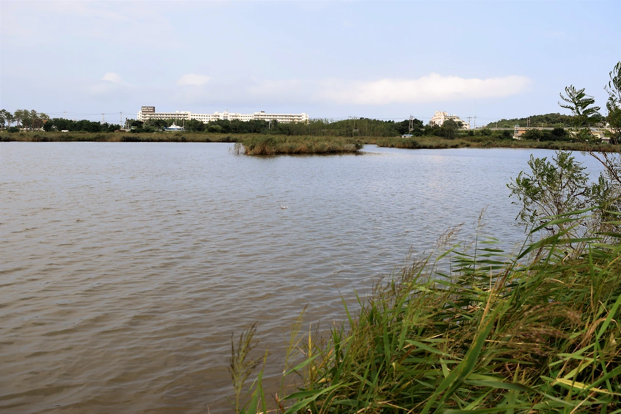 사진8-유역면적 3.29㎢의 광포호. 고성군 토성면 봉포리, 용촌리에 있는 석호다.-고종환 제공..JPG