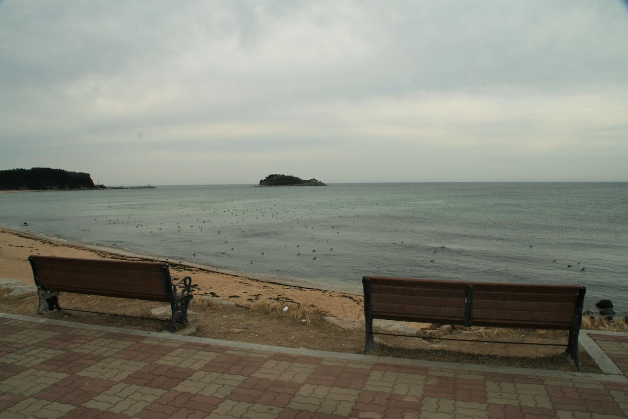 추가컷-화진포 해변.JPG