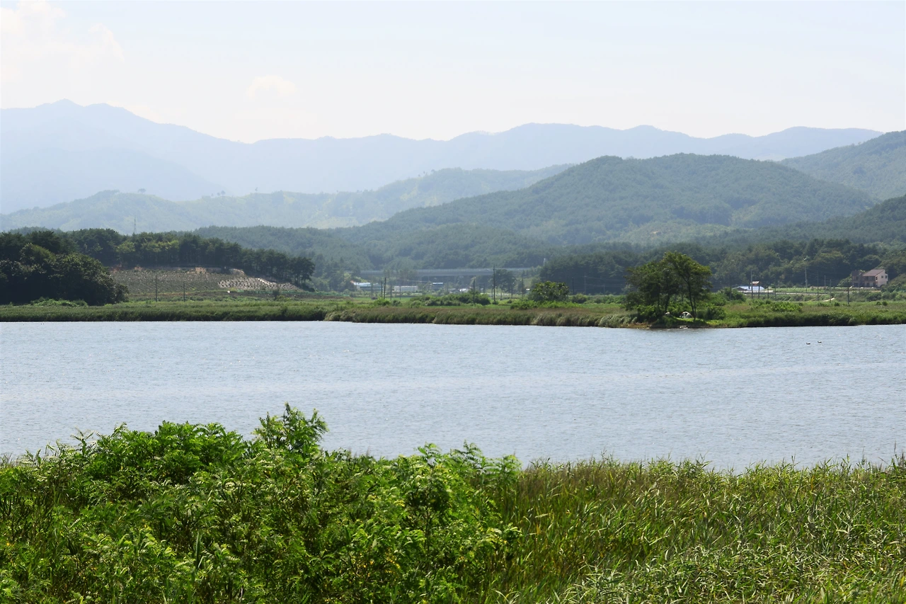 사진9-강원도 양양군 현남면 포매리, 광진리, 남애3리에 자리한 매호.-고종환 제공..JPG