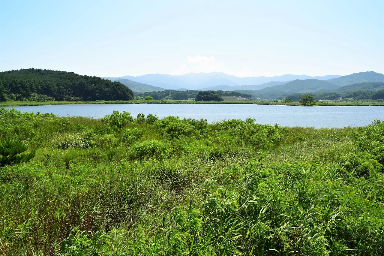 사진1-두 달 만에 다시 찾은 매호. 고요한 풍경은 여전하다.-고종환 제공..JPG