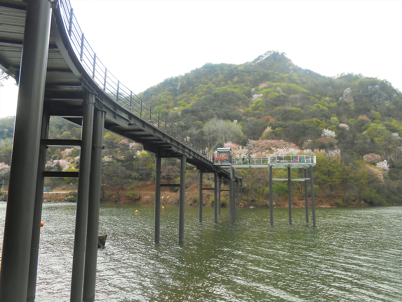 추가컷-다리 아래에서 올려다 본 스카이워크2.JPG