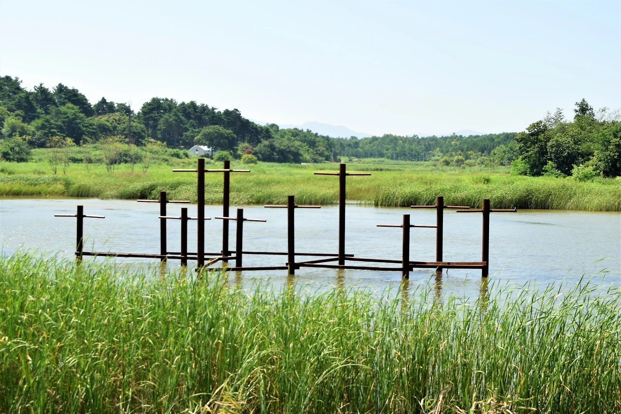 사진8-횟대를 조성해놓은 서식,복원공간. 철새들이 편히 쉬어가길 바라며.-고종환 제공..JPG