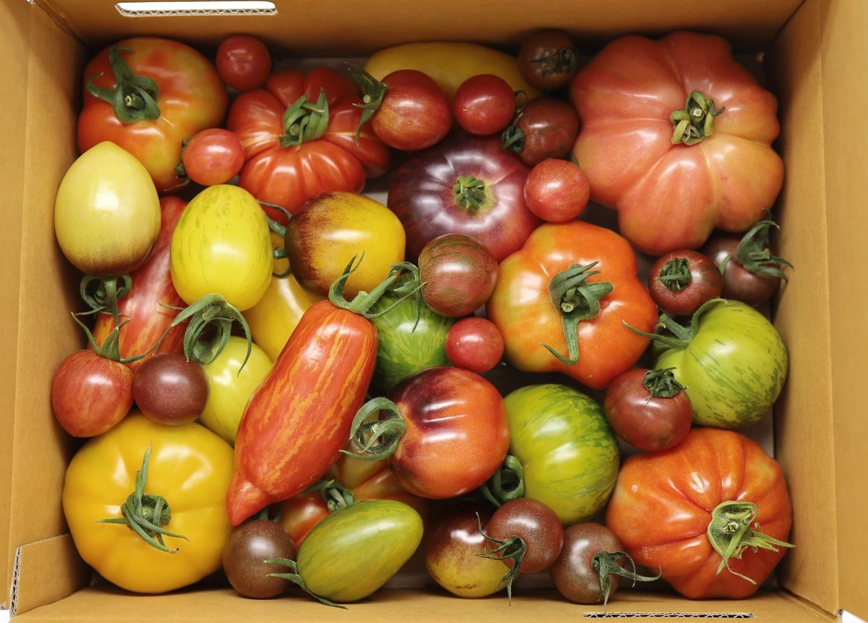 AD_4nXc5gxeQ7uFgk0tLQVqAWzw2l-xzup5I6KqjBxMYnRa_0djHLt0rf1LRYXb-M2X0KWz-jbEi9Tj2rGo333ABTi5hpIV7iRlnyhjsqtKRwvhQ-WzBuKOuz210vmdxdd66WwcyhK1HvQ?key=6eFsUzCJw4ok8JVcLAosLJIC