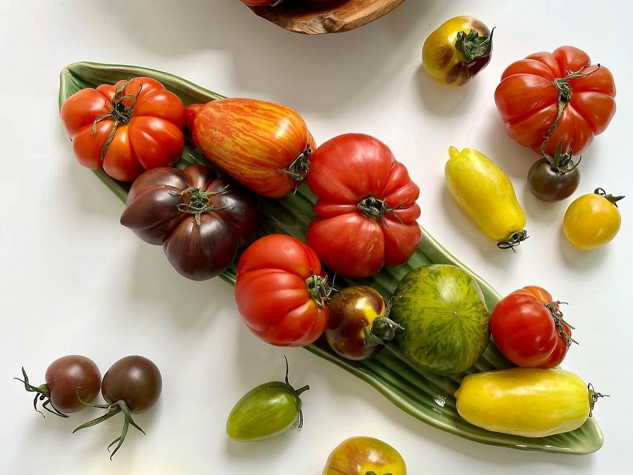 AD_4nXdA7r20al8XxcYfzlBlIE6h3e4mOGpdN6vMAu8f39QktBaVeKWh6NRGIqtkxAY7YQF3e89RmJOFbtYhsSdmcgio0UWD9v0cGrk8h_K0WQYEPOqfgSMWr8NTsmACWyo6vEvG-tdI0A?key=6eFsUzCJw4ok8JVcLAosLJIC