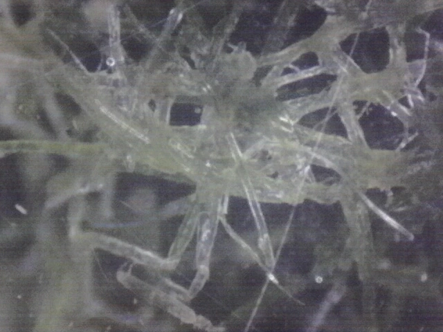 1760026117638.jpg?type=w1